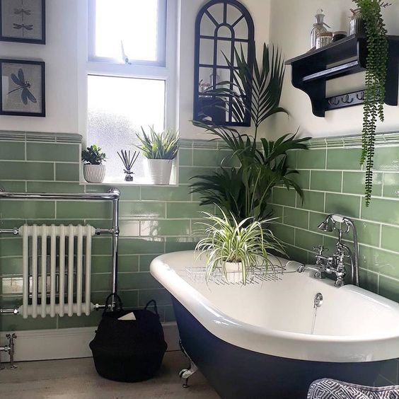 vintage traditional freestanding bath tub and plants